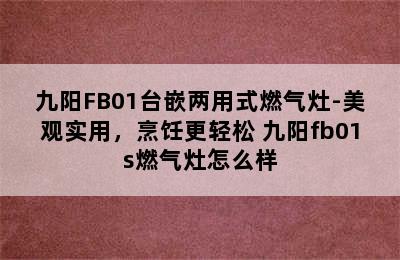 九阳FB01台嵌两用式燃气灶-美观实用，烹饪更轻松 九阳fb01s燃气灶怎么样